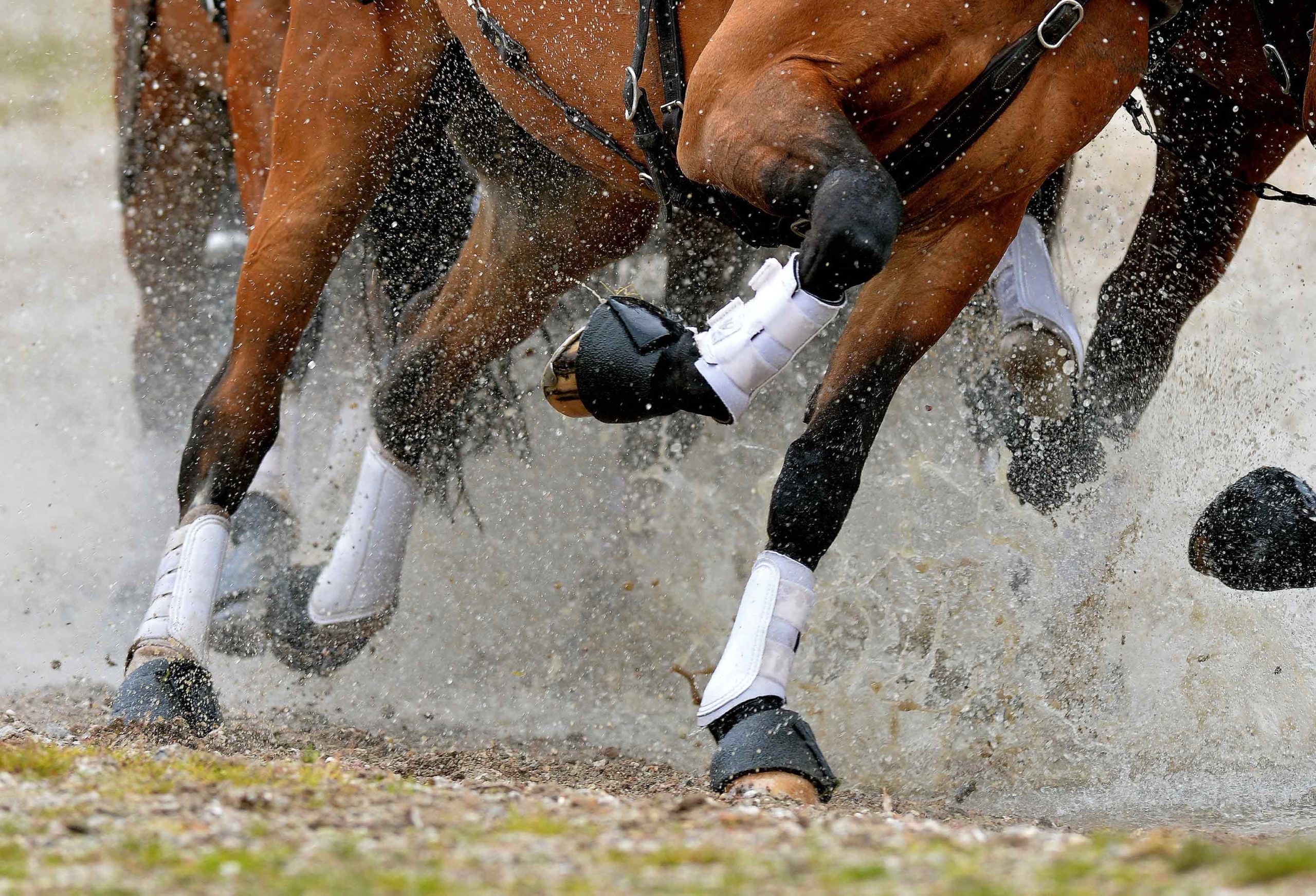 thesport-header